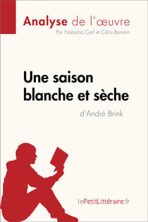 Une saison blanche et sèche d'André Brink (Analyse de l'oeuvre) - Analyse complète et résumé détaillé de l'oeuvre