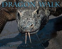 Dragon Walk - On Reef Recovery & Political Will