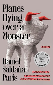 Planes Flying over a Monster - Essays