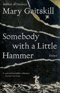 Somebody with a Little Hammer - Essays