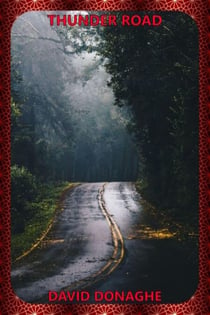 Thunder Road - The Mike McDonald Action Adventure Saga, #1