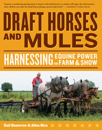 Draft Horses and Mules - Harnessing Equine Power for Farm & Show