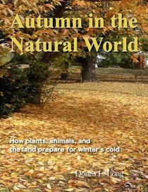 Autumn in the Natural World - Land and Sky, #1