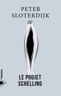Le projet Shelling