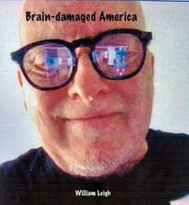 Brain-damaged America - The Novella Experiment, #1