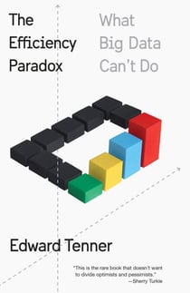 The Efficiency Paradox - What Big Data Can't Do