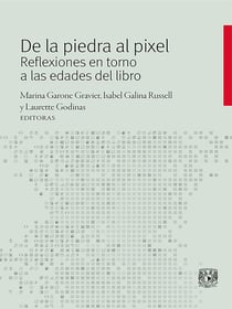 De la piedra al pixel - Reflexiones en torno a las edades del libro