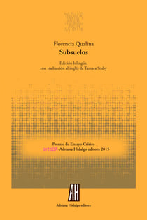 Subsuelos - Premio de Ensayo Crítico arteBA-Adriana Hidalgo editora 2015