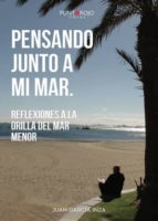 Pensando junto a mi mar