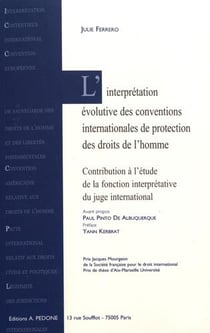 L'interprétation évolutive des conventions internationales de protection des droits de l'homme : contribution à l'étude de la fonction interprétative du juge international
