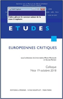 Etudes européennes critiques : actes de la première journée Jeune recherche de l'AFEE : Nice, 19 octobre 2018