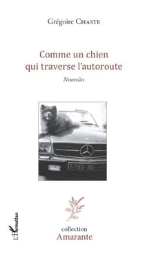 Comme un chien qui traverse l'autoroute - Nouvelles