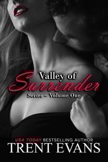 Valley of Surrender Series - Vol.1 - Valley of Surrender, #4