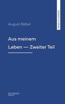 Aus meinem Leben — Zweiter Teil