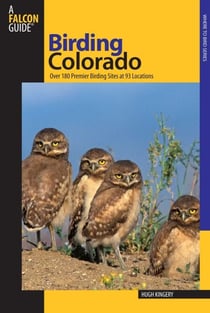 Birding Colorado - Over 180 Premier Birding Sites At 93 Locations