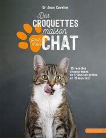 Des croquettes maison pour mon chat - 35 recettes chavoureuses de friandises prêtes en 25 minutes !