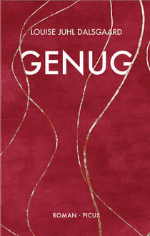 Genug - Roman