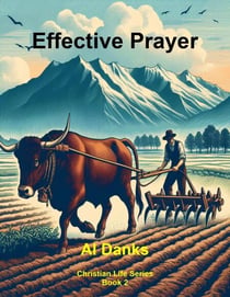 Effective Prayer - Christian Life Series, #2