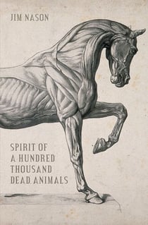 Spirit of a Hundred Thousand Dead Animals - Rudley Mystery, A