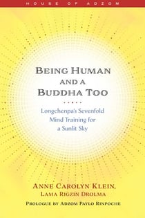 Being Human and a Buddha Too - Longchenpa's Sevenfold Mind Training for a Sunlit Sky