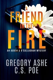 A Friend in the Fire - An Auden & O'Callaghan Mystery, #2