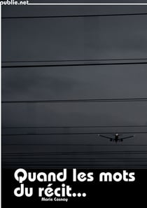 Quand les mots du récit... - Chronique d'un tribunal de grande instance, aux temps de l'identité nationale