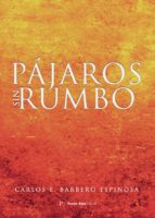 Pájaros sin rumbo