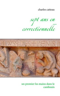Sept ans en correctionnelle - Un premier les mains dans le cambouis