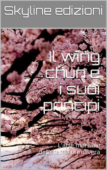 Il wing chun e i suoi principi