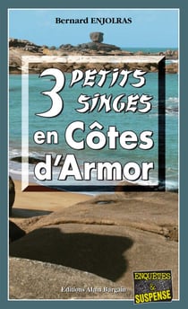 3 petits singes en Côte d'Armor - Les enquêtes de Bernie Andrew - Tome 2