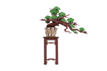 Puzzle 3D 115 pièces - Pin bonsaï - Rolife