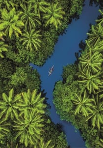 Puzzle 500 pièces - Tropical Aerial View - Clementoni