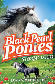 Stormcloud - Book 4