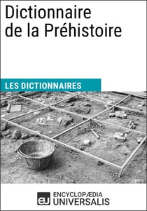 Dictionnaire de la Préhistoire - Les Dictionnaires d'Universalis