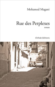 Rue des Perplexes - Roman
