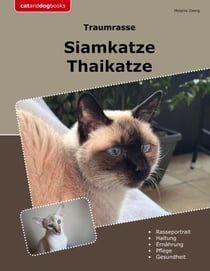 Traumrasse Siamkatze - Thaikatze