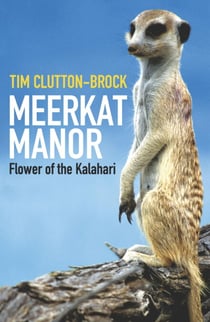 Meerkat Manor - Flower Of The Kalahari
