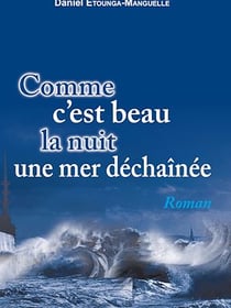 Comme c'est beau la nuit une mer déchaînée