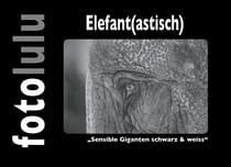 Elefant(astisch) - "Sensible Giganten schwarz & weiss"