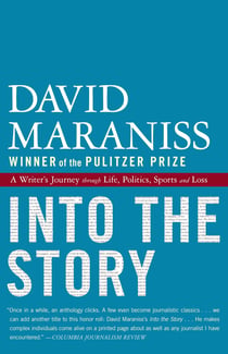 Into the Story - A Writer's Journey through Life, Politics, Sports and Loss