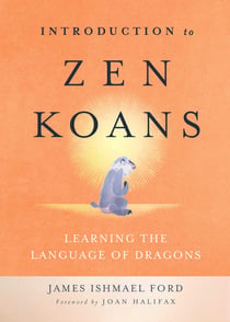 Introduction to Zen Koans - Learning the Language of Dragons
