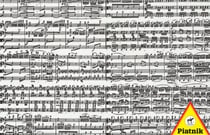 Notes de musique