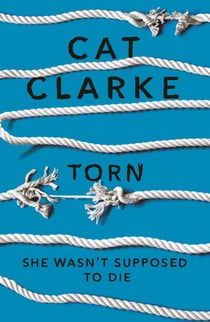 Torn - A no-going-back YA thriller about guilt, secrets and the cost of a single mistake, for fans of Holly Jackson, Laura Nowlin and Kathleen Glasgow