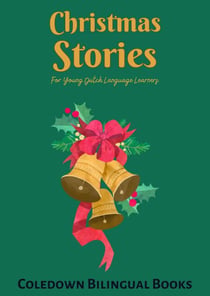 Christmas Stories For Young Dutch Language Learners