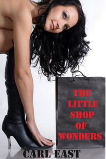 The Little Shop of Wonders