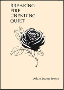 Breaking Fire, Unending Quiet - Verses Of The Broken, #5