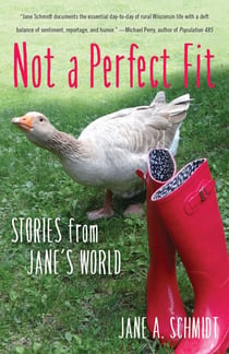 Not a Perfect Fit - Stories from Jane's World