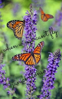 When Wings Can't Fly - Devotionals, #31