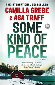 Some Kind of Peace - A Novel