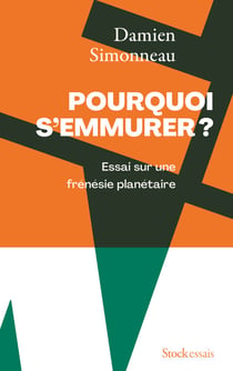 Pourquoi s'emmurer - Essai sur une frénésie planétaire